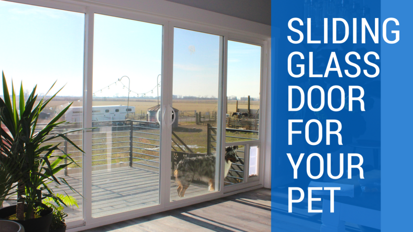 5 Reasons to Choose a Sliding Glass Door for your Pet
