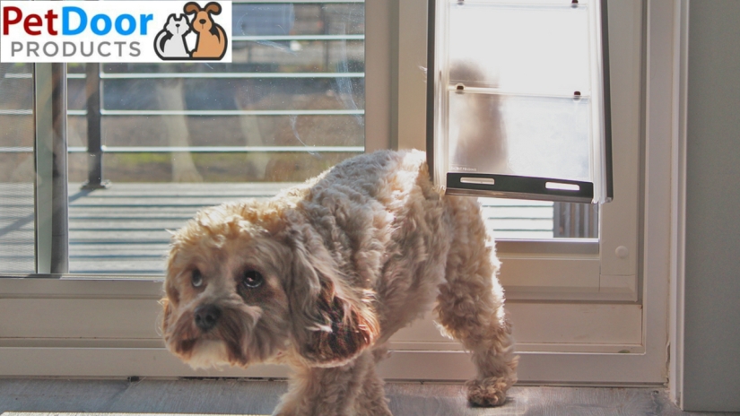 Can I Benefit from a Replacement Sliding Glass Pet Door Conversion System